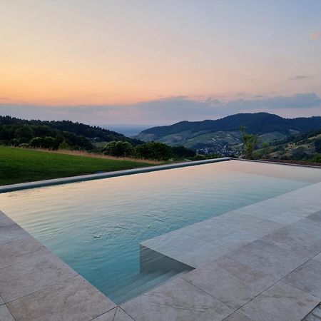 Bühlertal Haus Am Berg Mit Wellnessbereich, Bar Und Panoramaヴィラ エクステリア 写真