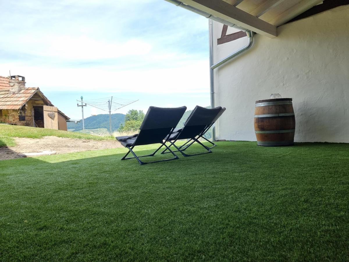Bühlertal Haus Am Berg Mit Wellnessbereich, Bar Und Panoramaヴィラ エクステリア 写真