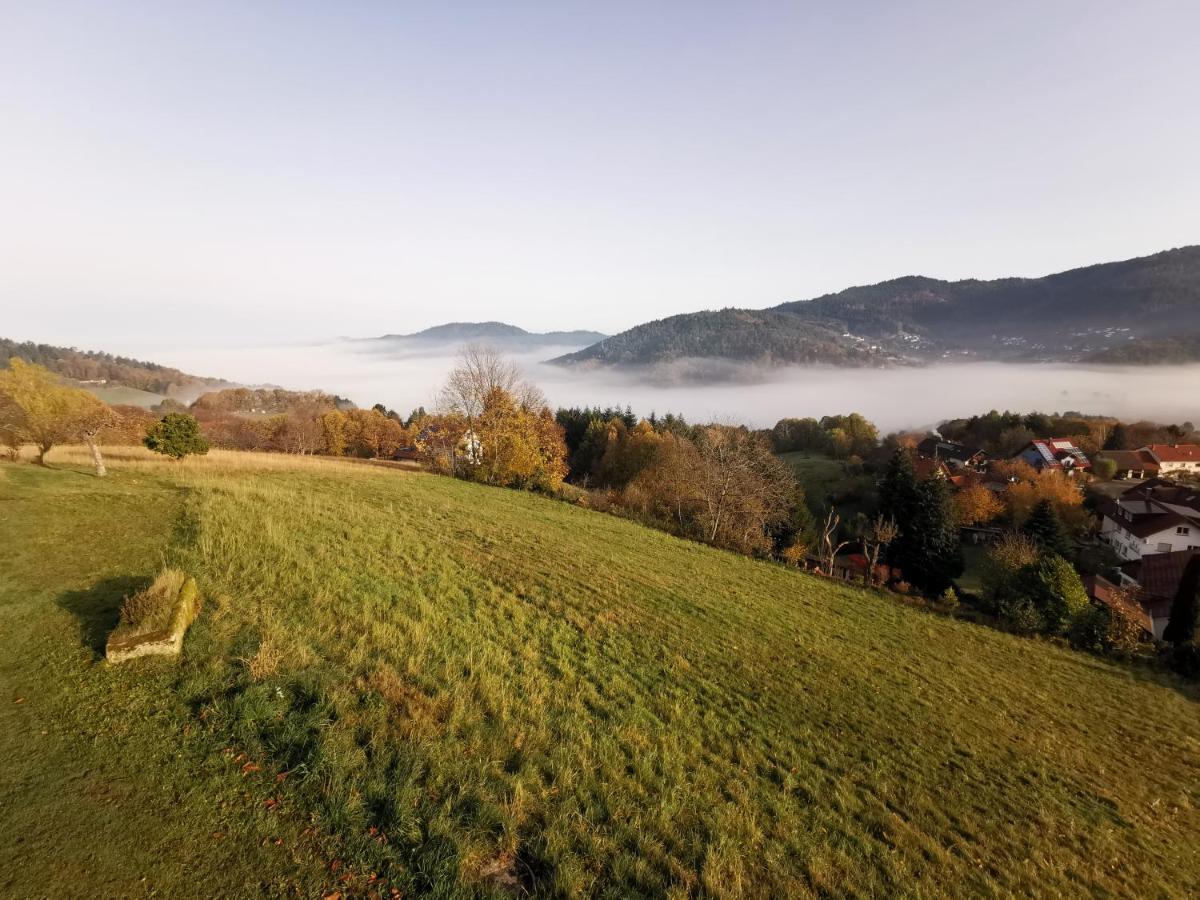 Bühlertal Haus Am Berg Mit Wellnessbereich, Bar Und Panoramaヴィラ エクステリア 写真