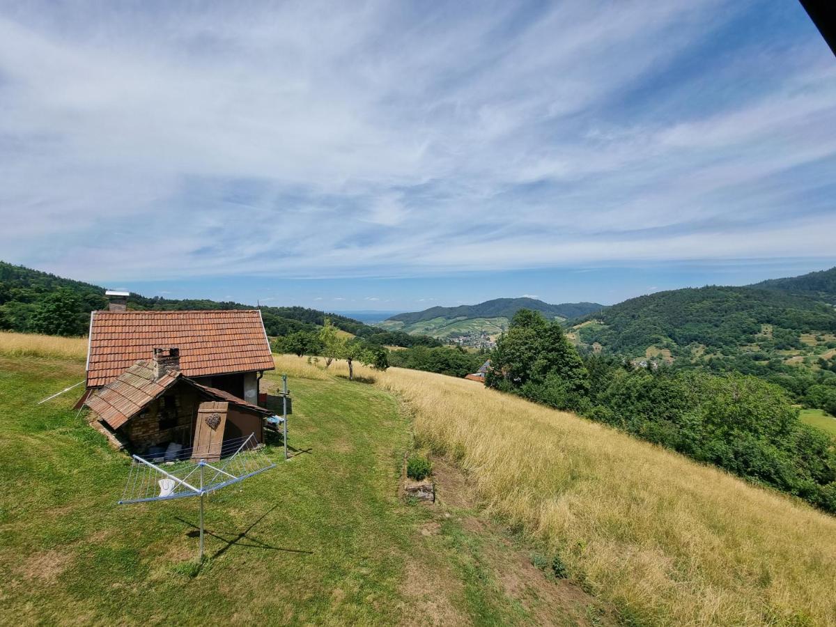 Bühlertal Haus Am Berg Mit Wellnessbereich, Bar Und Panoramaヴィラ エクステリア 写真