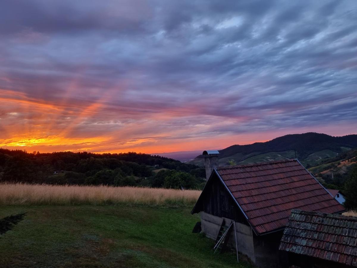 Bühlertal Haus Am Berg Mit Wellnessbereich, Bar Und Panoramaヴィラ エクステリア 写真
