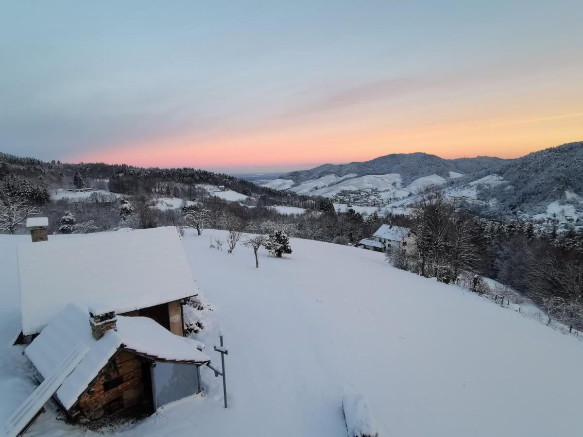 Bühlertal Haus Am Berg Mit Wellnessbereich, Bar Und Panoramaヴィラ エクステリア 写真